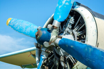 Wall Mural - Old plane