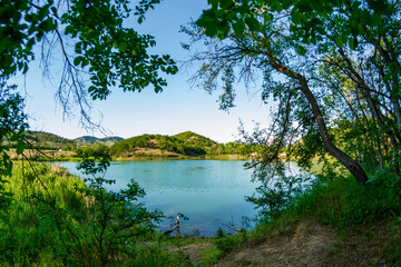 Canvas Print - Forest Lake