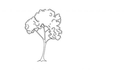 Wall Mural - Self drawing animation of yellow tree with leaves and autumn foliage.