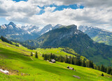 Fototapeta Góry - alpine meadow in the mountains