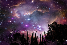 Nebula In Galaxy Over Silhouette Tree On The Mountain Night Sky