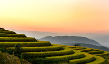 World Heritage Botanic Gardens Rice Terrace..The Cultural Landscape Of Pa Pong Peang Rice Terrace Field Of Thailand.