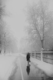 Fototapeta  - Woman Walks On Road Among Park In Fog In Winter.