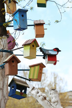 Lots Of Colorful Wooden Bird Houses On Tree Outdoors