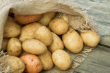 Fototapeta  - Close Up Of Yellow Potatoes In Sackcloth Bag On Wooden Table.
