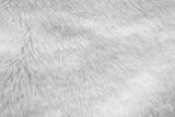 White Fur Fabric Texture Background Stock Photo, Picture and Royalty Free  Image. Image 152566653.