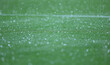 Details of green grass of football pitch seen during the rain showers