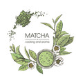 Hand-drown sketch matcha cooking and aroma.