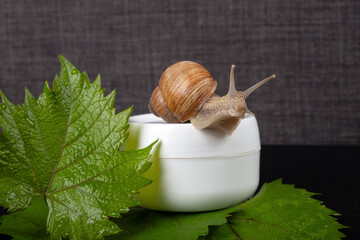 Wall Mural - snail mucin cream ,organic cosmetics for skin care.