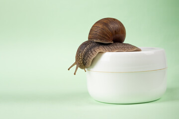 Wall Mural - snail mucin curative cream with copy space,skin care.