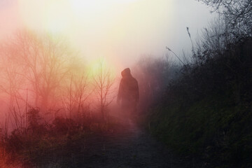 Wall Mural - An atmospheric, moody concept. Of a ghostly hooded figure standing on a forest path on a foggy day. With a grunge, light leak, retro edit.