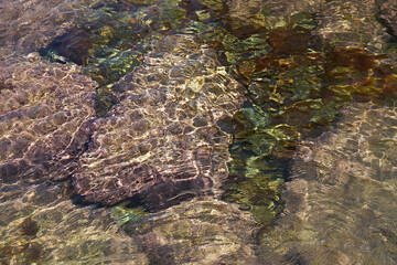 Tidal bore. Stone bottom. Clear water.