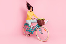 Portrait Of Nice Crazy Amazed Funny Cheerful Girl Riding Bike Fooling Having Fun Isolated Over Pastel Pink Color Background
