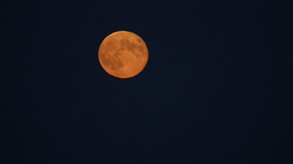 Wall Mural - Yellow moon over black sky