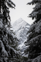 Wall Mural - Valais