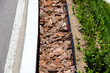a flowerbed on the side of an asphalt road with a painted white border and tree bark mulch with a pipe for watering plants drip irrigation system close-up.