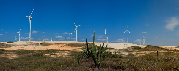 Panoramic view of large wind turbines producing clean and sustainable energy, clean energy future. Sand dunes on the coast of the state of Ceará, northeastern Brazil.