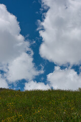 Wall Mural - nuvole cielo prateria prato natura verde azzurro 