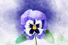 Close-up Of Purple Pansy Flower In Watercolor. Botanical Illustration For Greeting Card.