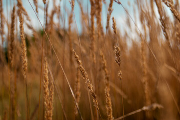 Naklejka na meble nad woda 2