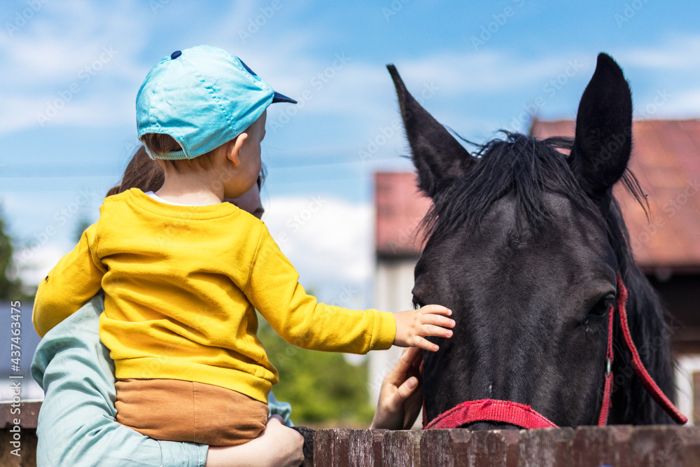 Dziecko z matką głaszczące konia. - obrazy, fototapety, plakaty 