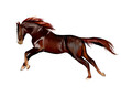Horse running at a gallop from splash of watercolors, colored drawing, realistic. Vector illustration of paints