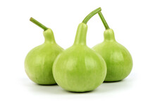 Bottle Gourd Or Lagenaria Siceraria Fruits Isolated On White Background.