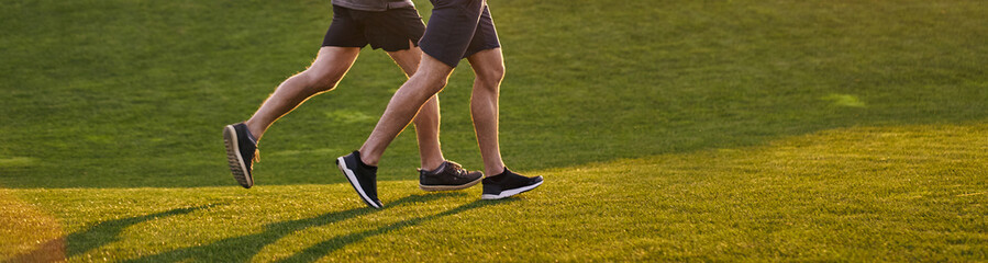 Sticker - The old and young sportsmen running in the green park