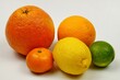 © botevvs - Grapefruit, orange, lemon, tangerine and lime lie on a white table