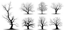 Set Black Branch Tree Or Naked Trees Silhouettes. Hand Drawn Isolated Illustrations.