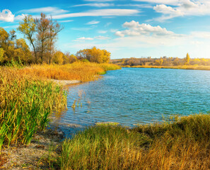 Wall Mural - Orange autumn on river