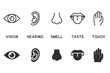 Vector set of five human senses icons. Contains icons vision, hearing, smell, taste, touch.