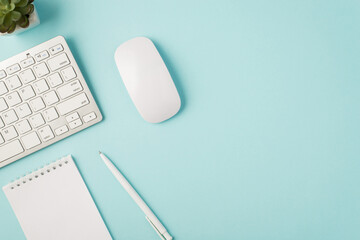top view photo of white keyboard mouse notepad pen and plant on isolated pastel blue background with