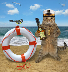 Canvas Print - A beige cat captain in a sailor hat with a bottle of rum stands near a lifebuoy by the sea.