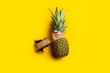 Wall Mural - Woman hand holds a whole ripe pineapple in a torn yellow cardboard background. Banner.