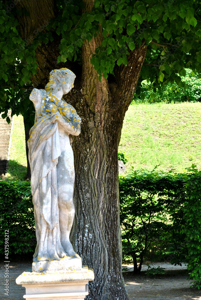 zdjęcie rzeźby przedstawiające stojącą kobietę na tle pnia drzewa - obrazy, fototapety, plakaty 