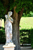 Fototapeta  - rzeźba kobiety na tle pnia drzewa