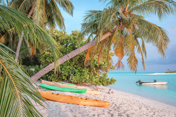 A palm tree on a beautiful tropical beach with white sand and a turquoise ocean with a boat on the background of the sunset sky on the Maldives island