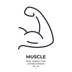 Wall Mural - muscle editable stroke outline icon isolated on white background flat vector illustration. pixel per