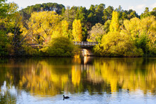 This Stunning Lake Was Created In 1929 By Erecting A Dam Wall  - Daylesford, Victoria, Australia
