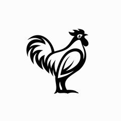 Poster - rooster isolated on white background