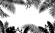 Palm Leaves Frame. Black Silhouette Of Banana Tree Foliage. Exotic Plant Border. Rainforest Greenery. Tropical Branches. Decorative Contour Floral Framing With Copy Space. Vector Jungle