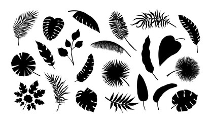 Wall Mural - Exotic leaf silhouette. Tropical monstera and banana tree branches. Black and white coconut palm fronds. Summer foliage. Isolated jungle plants. Vector decorative natural elements set