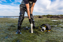 Scientist Collecting A Sediment Core To Asses Carbon Sequestration Rates In The Sediment Of A Tidal Seagrass Bed.