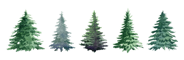 fir tree watercolor set. hand drawn realistic lush pine watercolor illustration. green forest plant 