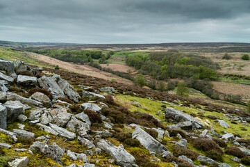 Canvas Print - The North York Moors with fields, trees, and large boulders in spring. Goathland, UK.