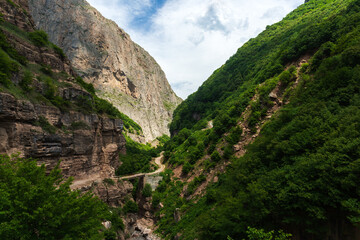 Wall Mural - The road in the mountain gorge