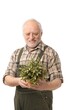 © nyul - Cheerful elderly man holding plant smiling, white background.