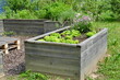 Vegetables in raised garden bed, permaculture garden