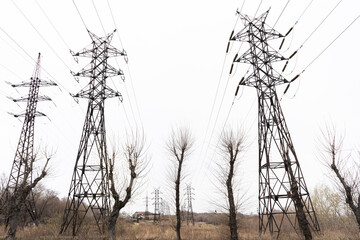 Electric city pole with gray sky and bare tree branches. High voltage pole.